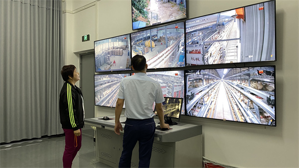 平塘：东部市威廉希尔WilliamHill场+西部基地小鸡蛋撑起一个大产业(图2)