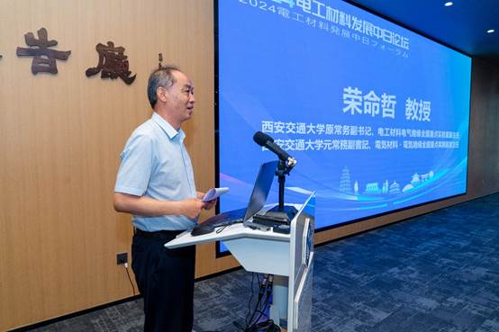 2024电工材料发展中日论坛在西安召开(图3)
