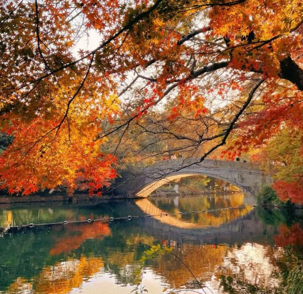 苏杭报团玩五天最佳路线苏州旅游美食推荐+住宿安排不踩雷！(图1)