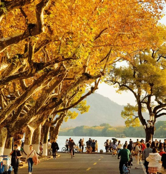 苏杭报团玩五天最佳路线苏州旅游美食推荐+住宿安排不踩雷！(图3)