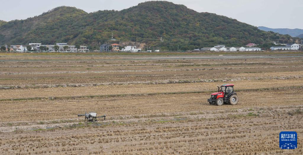 浙江岱山：科技强农盐碱地变现代农业园(图2)