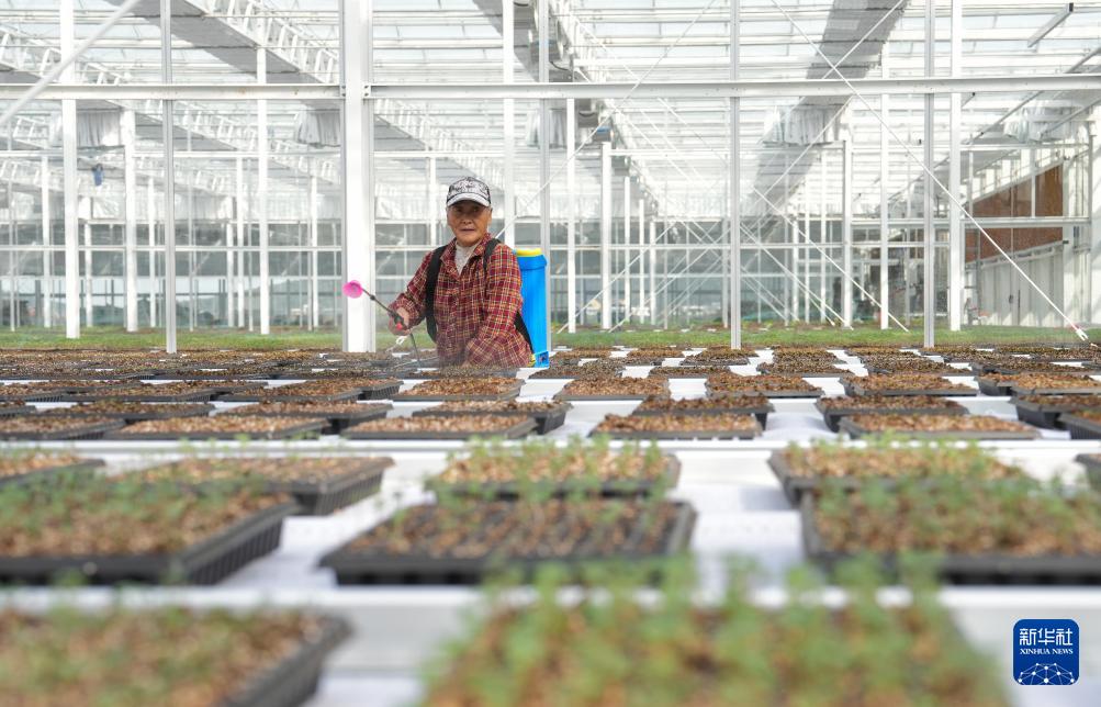 浙江岱山：科技强农盐碱地变现代农业园(图4)