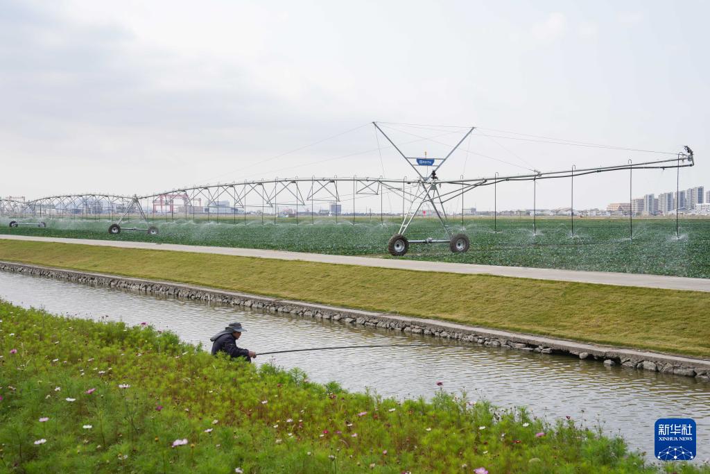 浙江岱山：科技强农盐碱地变现代农业园(图3)