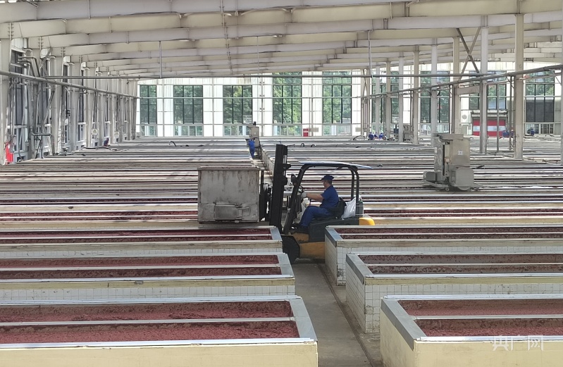 【蜀里非遗】郫县豆瓣酱：时光中沉淀的馥香浓郁(图2)