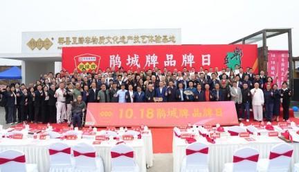 10威廉希尔18鹃城牌品牌日：三百年薪火相传共启郫县豆瓣品牌新活力(图8)