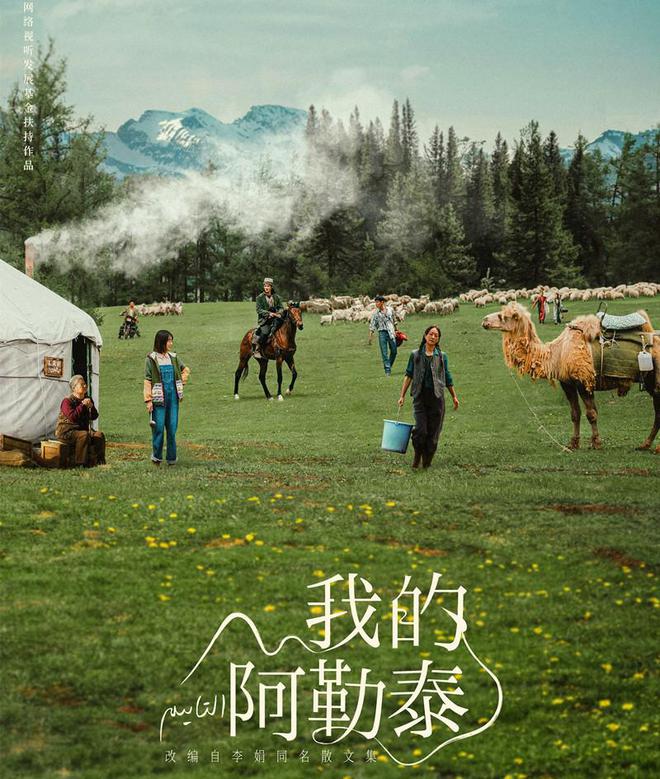 2024年国产剧榜：《玫瑰的故事》豆瓣96分排第一(图19)