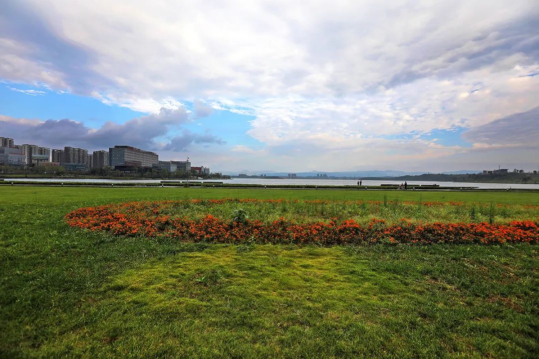 成都“引弓”每经网(图1)