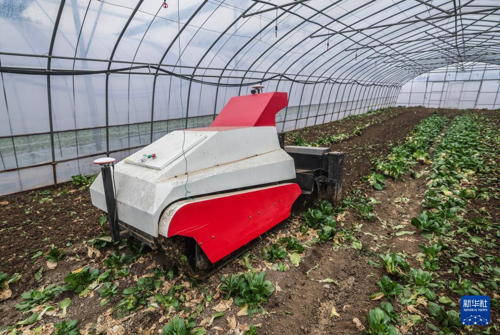 威廉希尔浙江嘉兴：农业自动化设备助力春耕春种(图1)