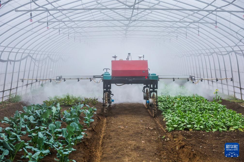 威廉希尔浙江嘉兴：农业自动化设备助力春耕春种(图3)