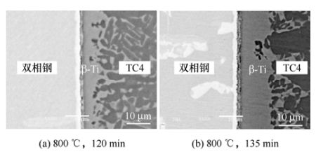 哈尔滨工业大学、西北工业大学和上海交通领衔策划——异种材料焊接与连接丨JME特邀专栏（上）(图5)