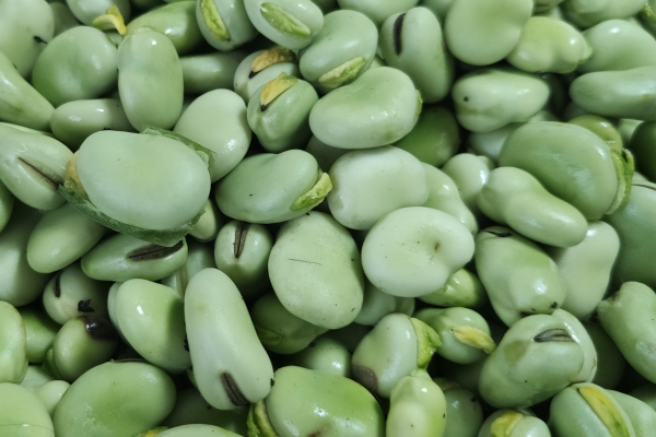 豆瓣酱的功效与作用、禁忌和食用方法(图3)