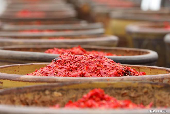 感受“食”尚郫都这周五约起(图1)