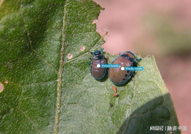 “AI+农业”：重塑农业生产的智慧蓝图威廉希尔WilliamHill(图9)