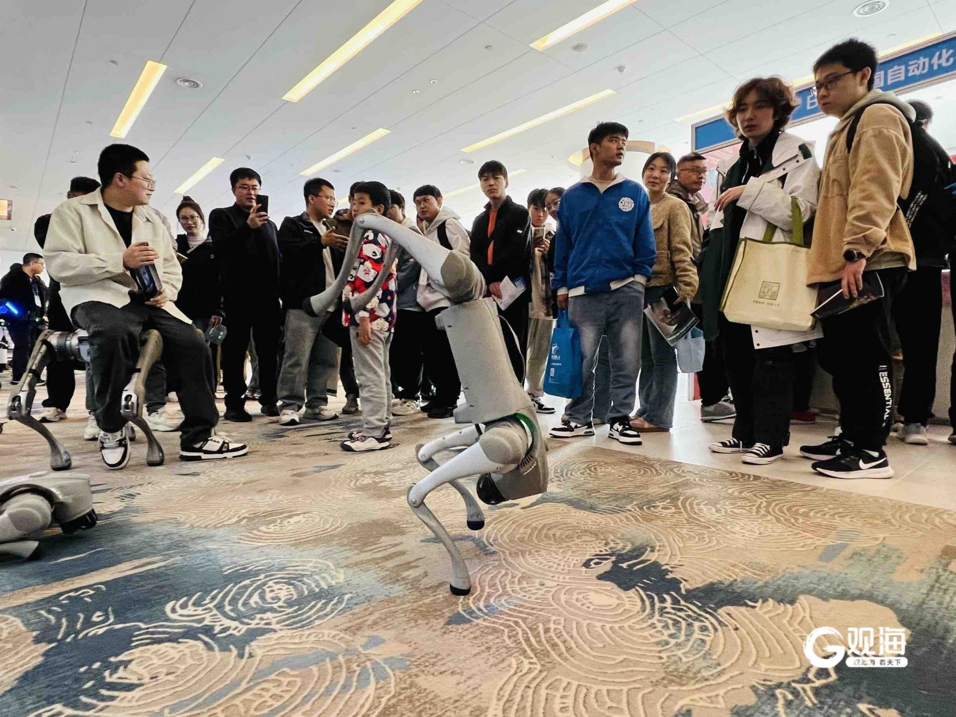 “新质发展智控未来WilliamHill”2024中国自动化大会在青开幕(图3)