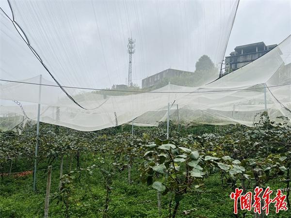 院士专家下乡记：为孩子“摘星”帮土地“点金”(图1)