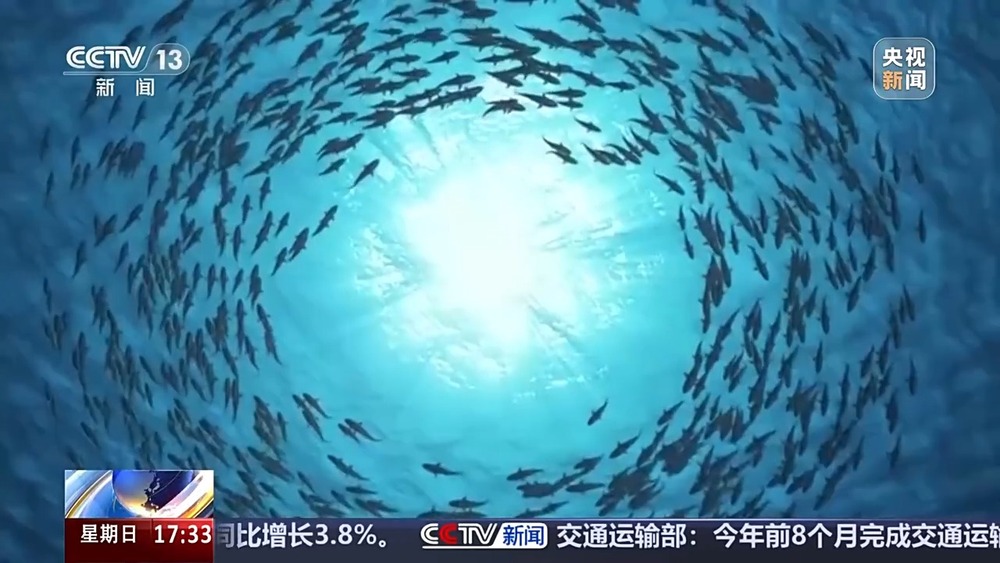 我国海底油气管道装备技术能力达到国际先进水平(图1)