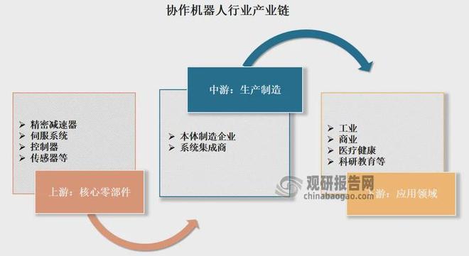 中国协作机器人行业现状深度与发展趋势分析报告（2025-2032年）(图8)