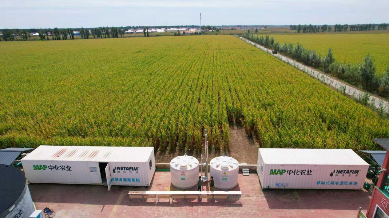 科尔沁区：智慧农业“会说话”玉米高产有保障(图1)