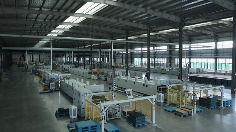 向“新”而行以“质”致远安徽向前丨蔬菜大县闯出“新”名堂(图3)