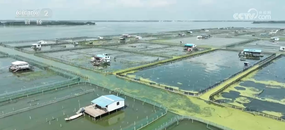 WilliamHill“双十一”新观察·分拣“加速跑”快递小哥告别“爆单焦虑”(图3)