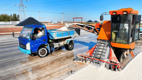 行进的海岸线丨智能科技激活千年文脉中国海盐之都向深蓝(图1)