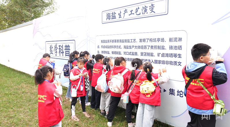 行进的海岸线丨智能科技激活千年文脉中国海盐之都向深蓝(图5)