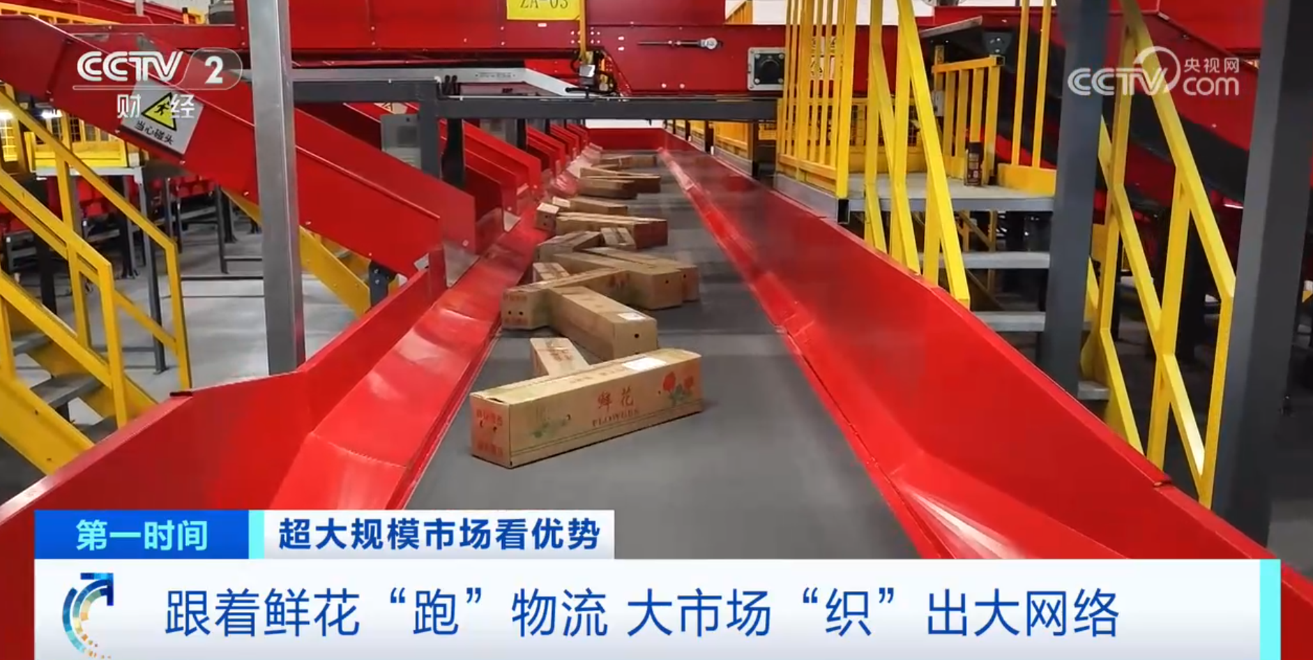 跟着鲜花“跑”物流！大市场如何“织”出大网络？(图3)