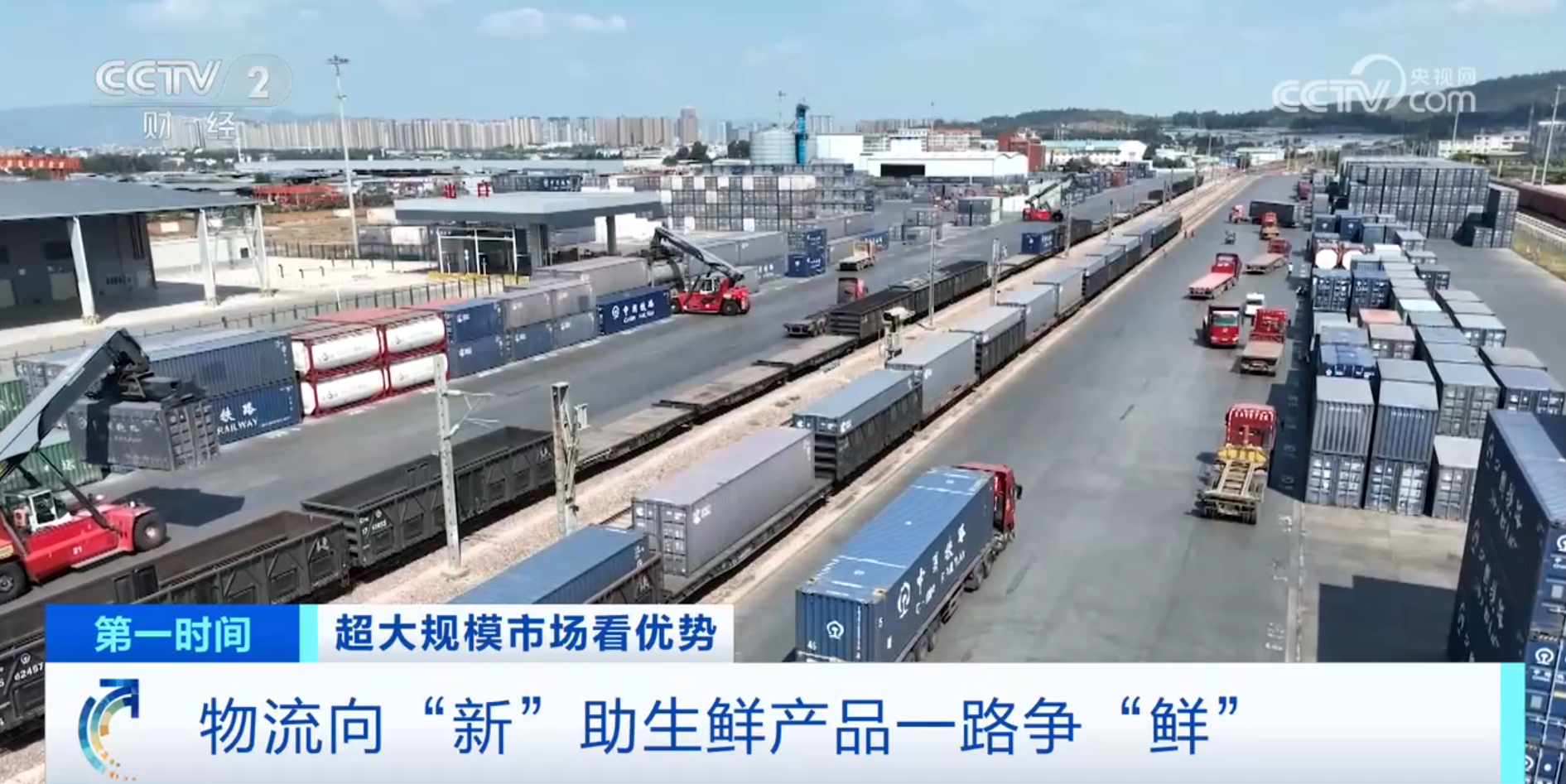 跟着鲜花“跑”物流！大市场如何“织”出大网络？(图5)