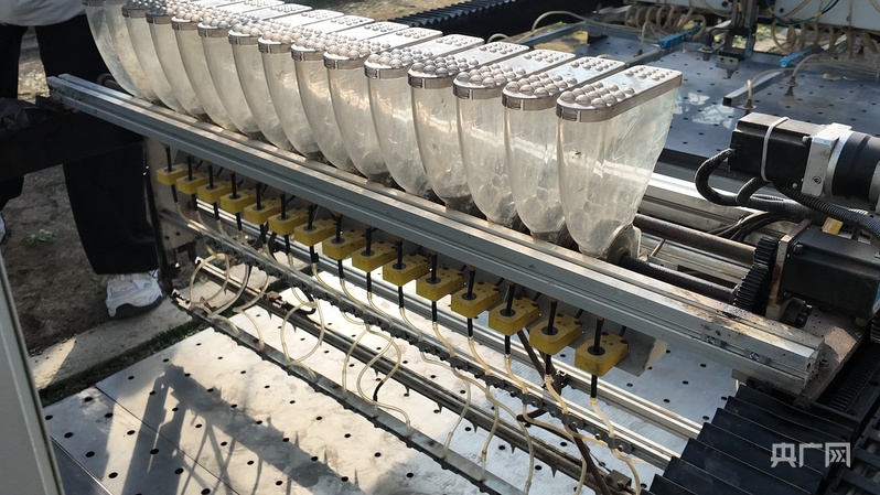 喜看家乡新变化陕西留坝：绘就乡WilliamHill村振兴新图景(图4)