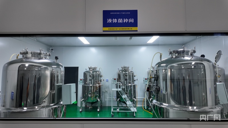 喜看家乡新变化陕西留坝：绘就乡WilliamHill村振兴新图景(图7)