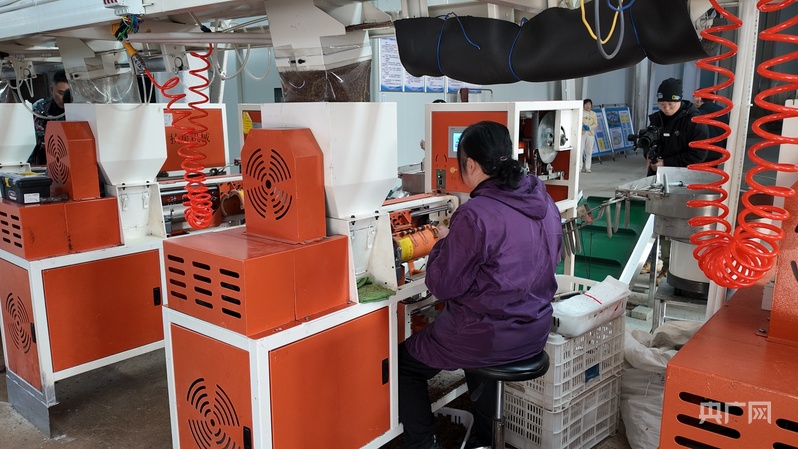 喜看家乡新变化陕西留坝：绘就乡WilliamHill村振兴新图景(图9)