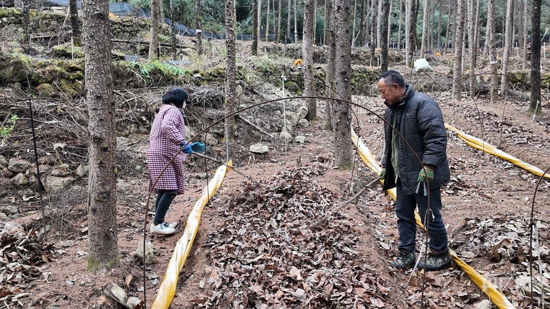 喜看家乡新变化陕西留坝：绘就乡WilliamHill村振兴新图景(图2)