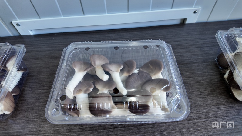 喜看家乡新变化陕西留坝：绘就乡WilliamHill村振兴新图景(图8)