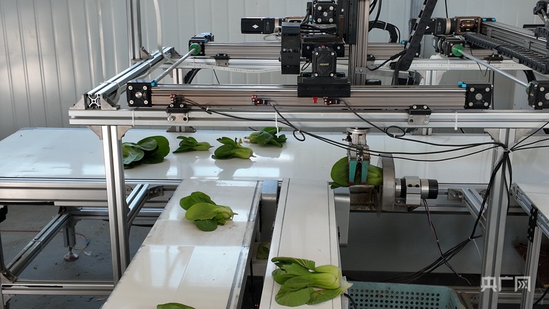 喜看家乡新变化陕西留坝：绘就乡WilliamHill村振兴新图景(图6)