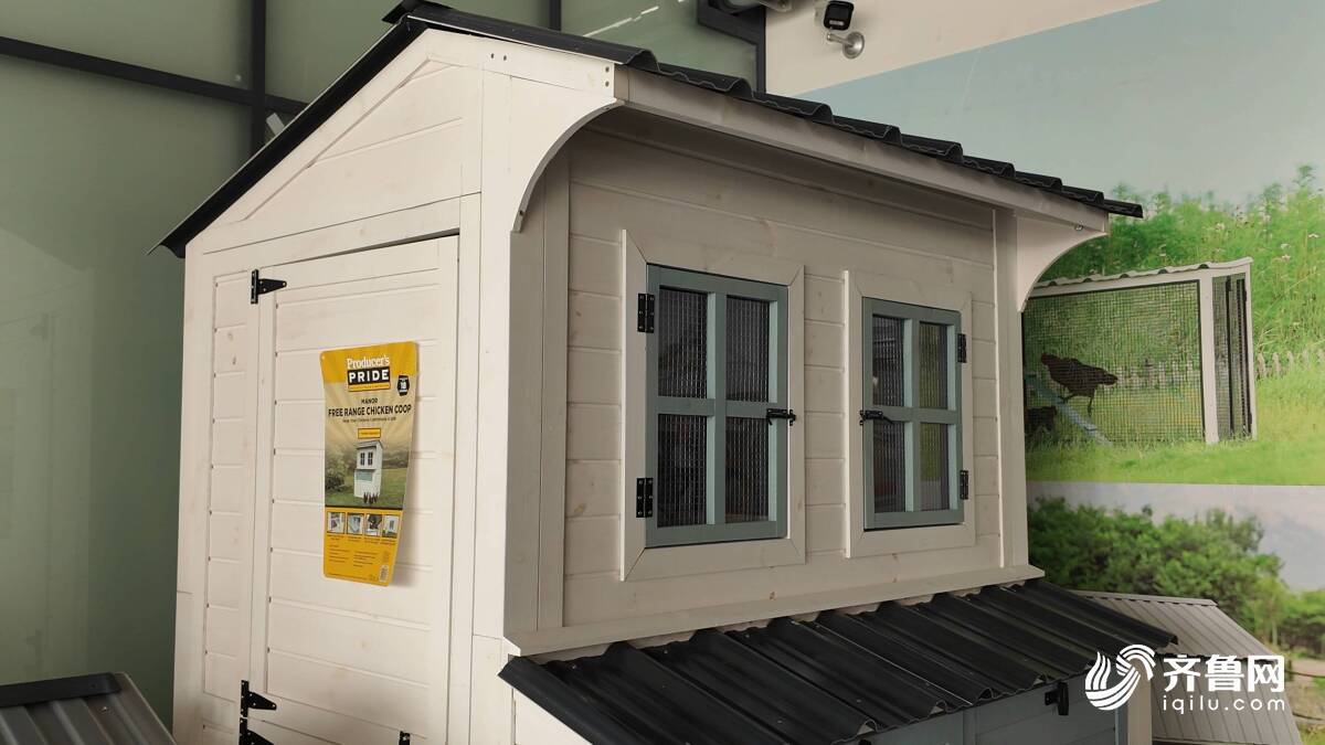 “云话山东”聚焦日照威廉希尔捷杰科技小宠物房屋打开全球大市场(图3)