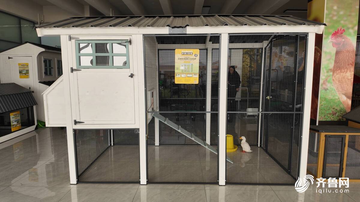 “云话山东”聚焦日照威廉希尔捷杰科技小宠物房屋打开全球大市场(图1)