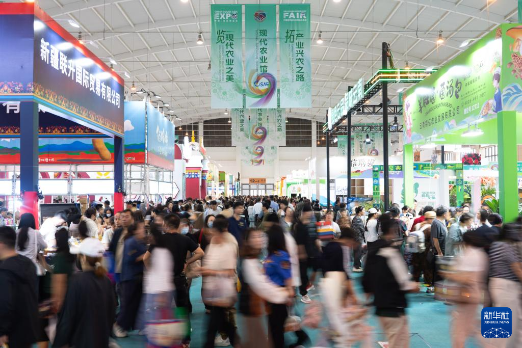 第9届中国—南亚博览会闭幕(图2)