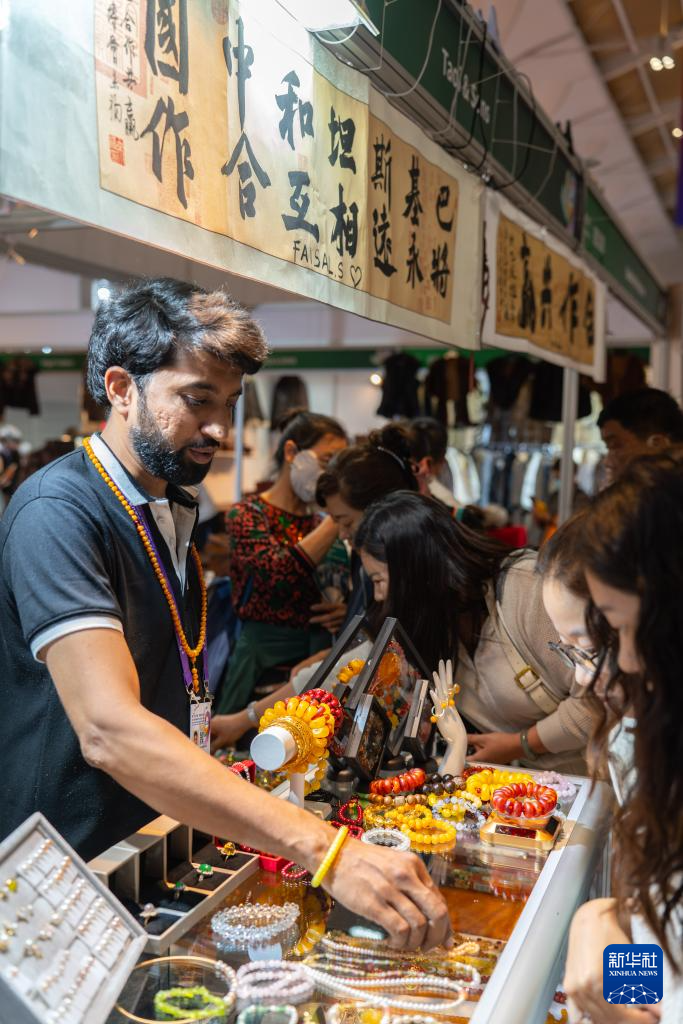 第9届中国—南亚博览会闭幕(图4)