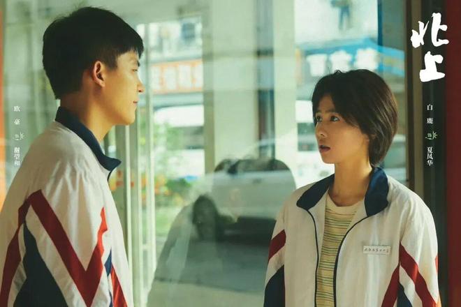 长剧2025：“全民性”消退在身份焦虑中重觅内容价值(图12)