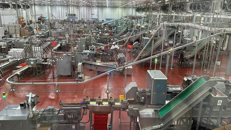 WilliamHill透过火腿肠“诞生记”看智能产线如何守护舌尖安全(图2)